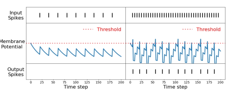 图2：尖峰神经元的时间敏感性。左边的图显示了神经元对以较低速率发生的输入的响应，右边的图显示相同的神经元对以较高速率发生的输出的响应。一旦输入以高于特定频率的速率发生，神经元就能够产生输出。